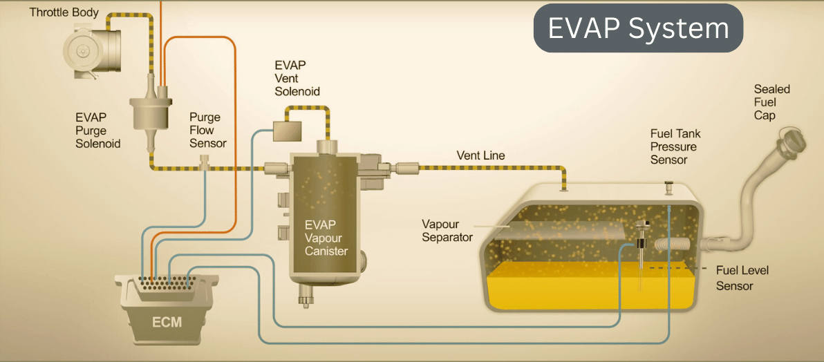 Canister Purge Valve: What It Is, How It Works, And Why It’s Important ...